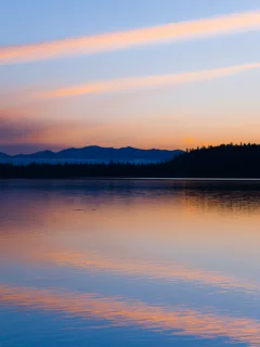 небо, лес, отражение, вечер, вода, закат, облака