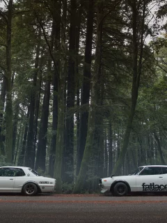 fatlaceskylines, дорога, nissan, лес