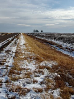 снег, поле, дорога
