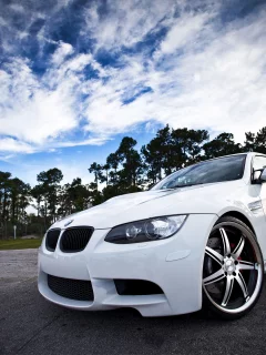 vossen, диски, деревья, bmw, небо