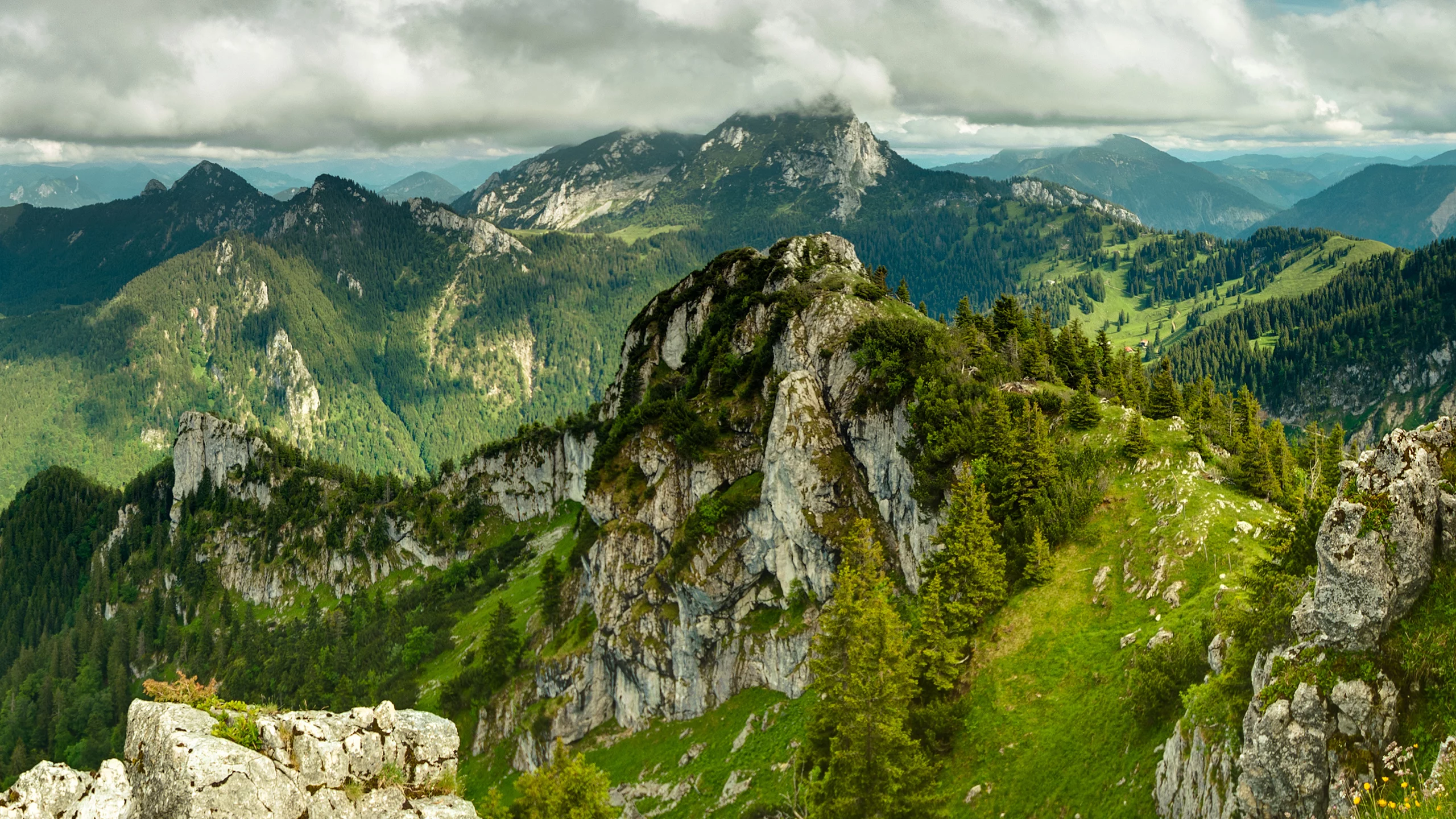 nature, landscape, greenery, деревья, трава, облака, природа, trees, mountains, clouds, небо, sky, grass, зелень, пейзаж, shadow, тень, горы, 2560x1600