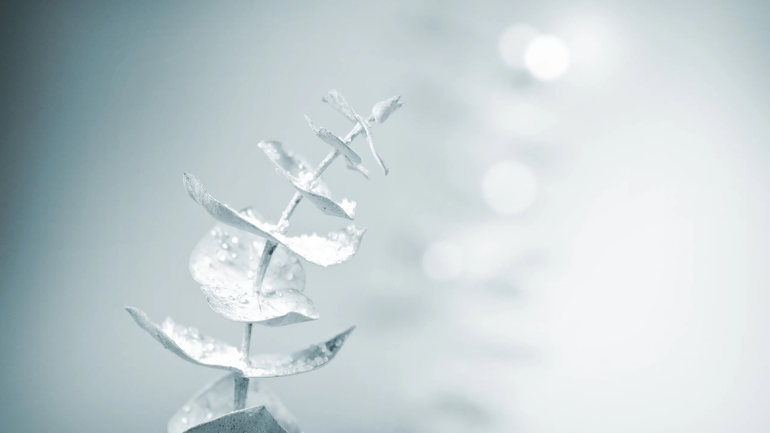 magic touch, snow, soft