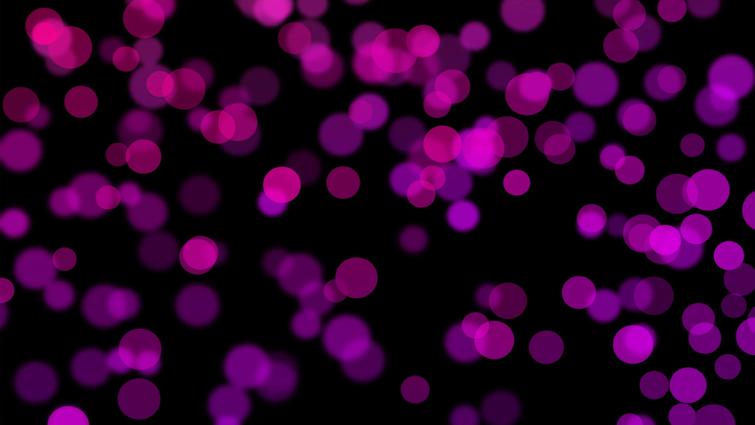 abstraction, circles, краски, абстракция, круги, colors, 2560x1600, узоры, patterns, боке, bokeh