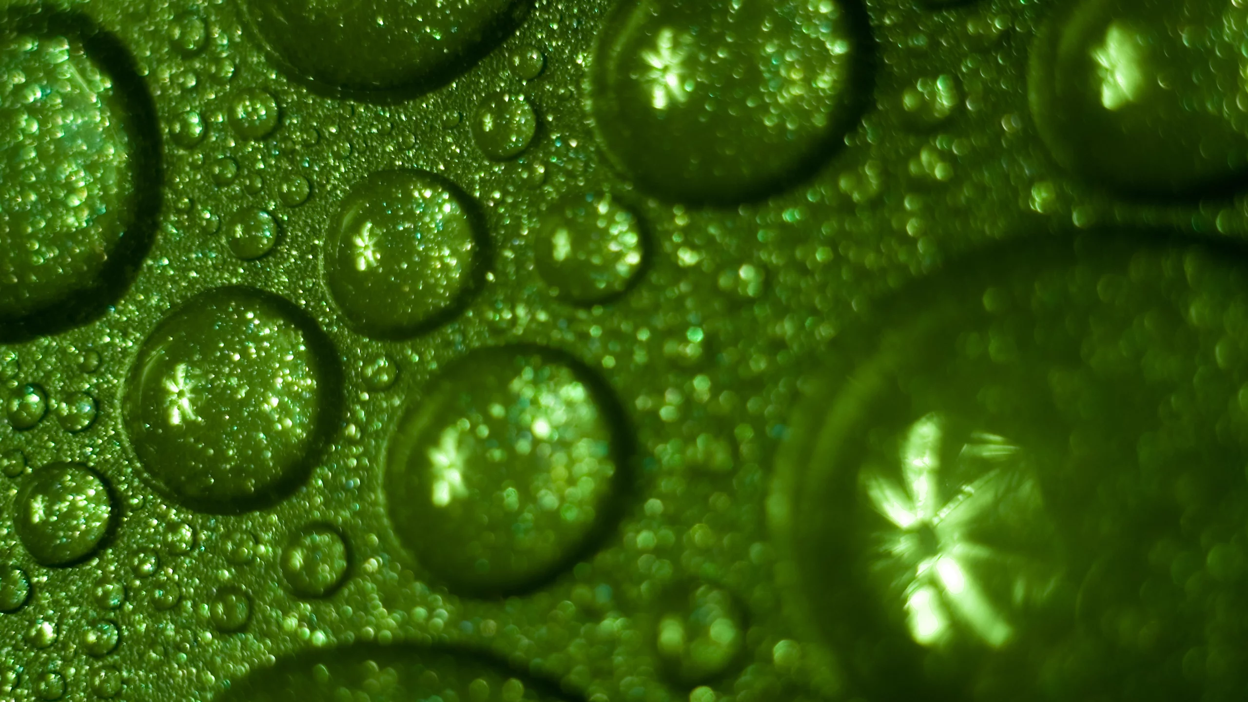 drops, green, water, обои