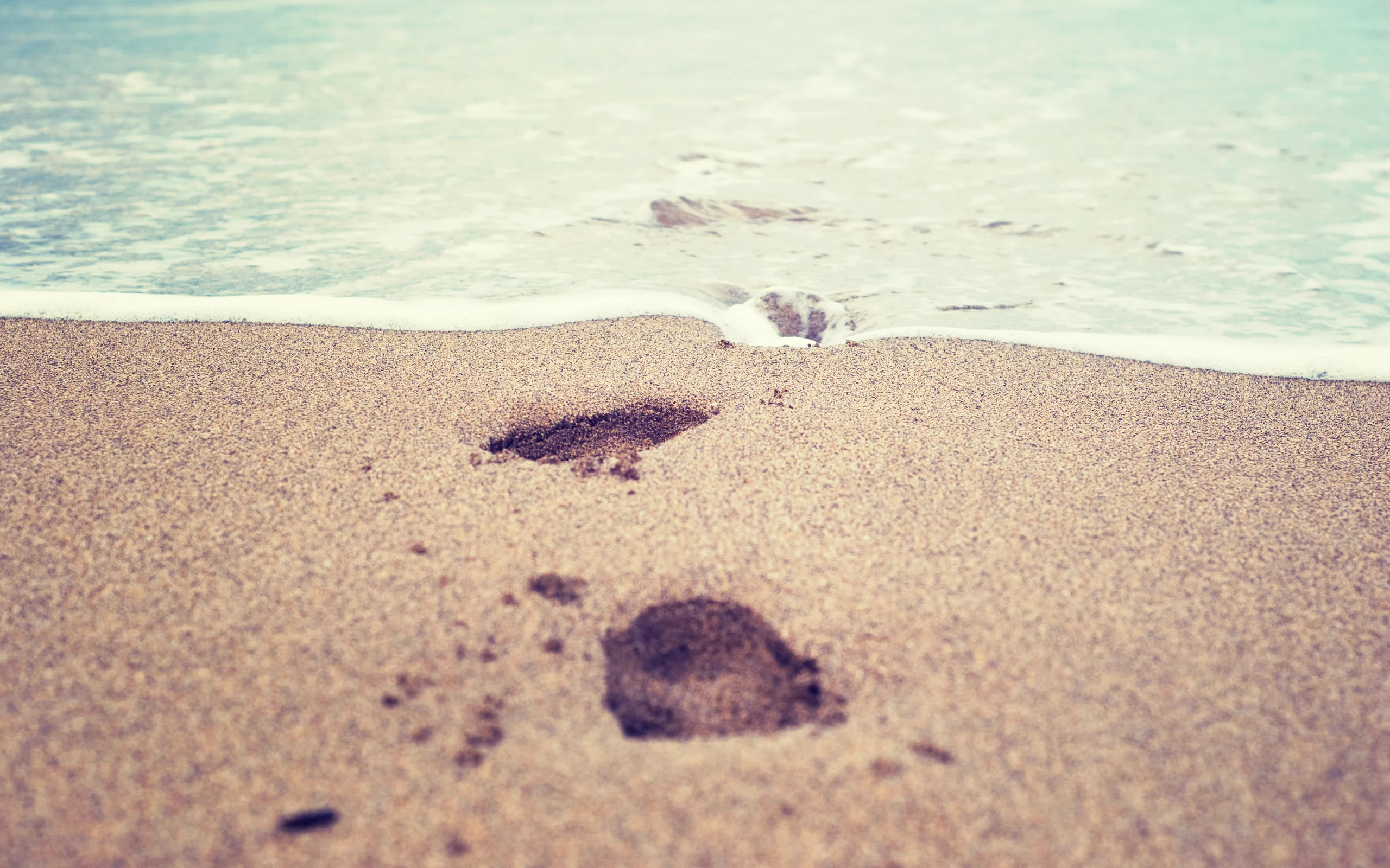 вода, макро, след, песок, 2560x1600, море, sea, macro, print, water, sand