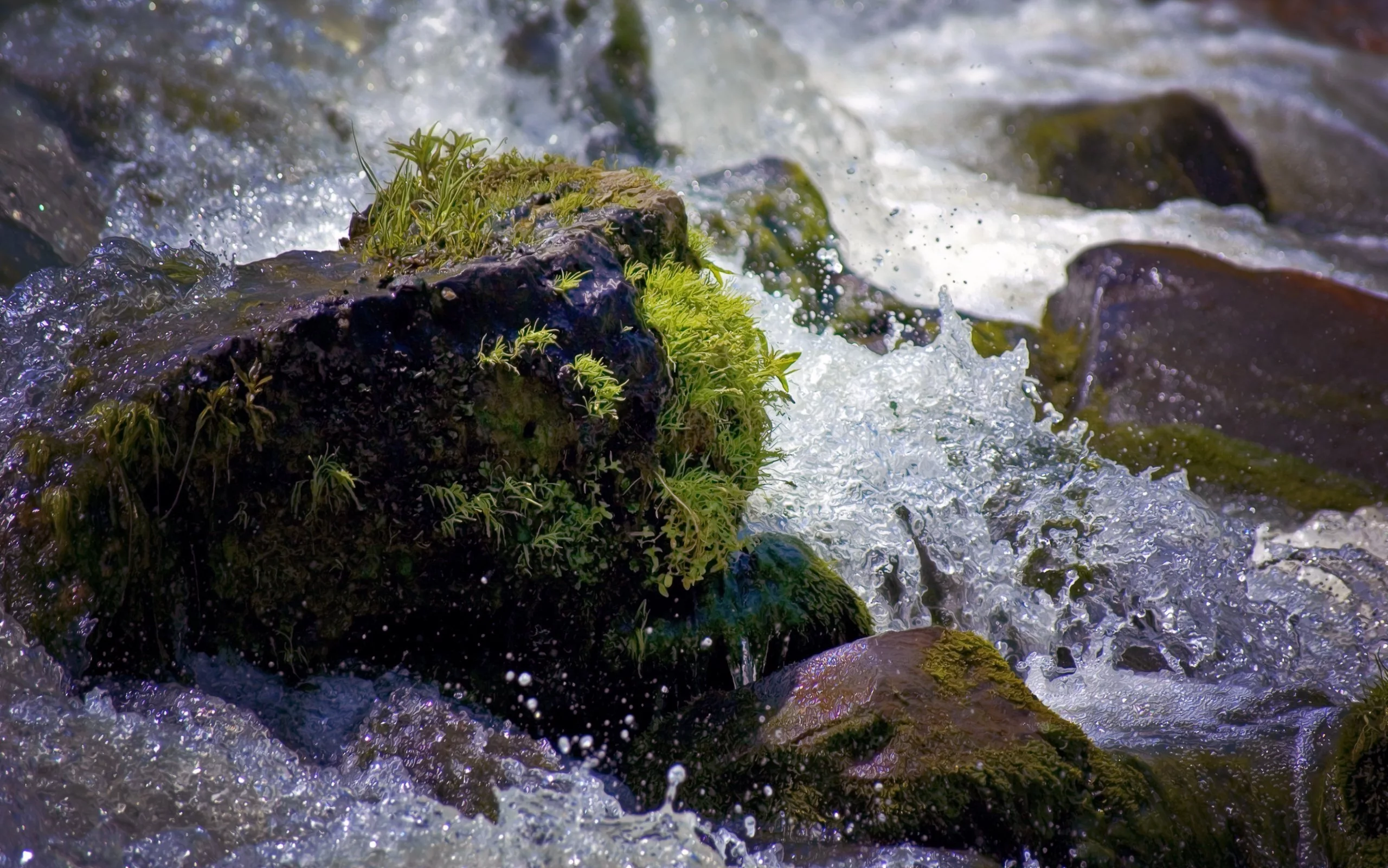 пейзаж, природа, вода, мох, брызги, камни, капли