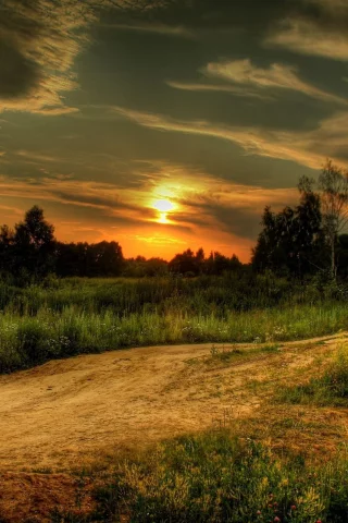 поле, закат, природа, дорога