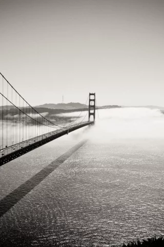golden gate bridge, калифорния, into the fog, мост, чб