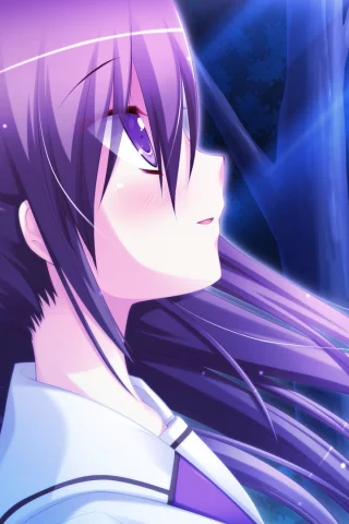 hyper highspeed genius, глаза, волосы, лес, tojoin kyoka, фиолетовые, девушка, луч