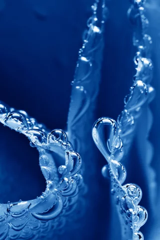роса, макро, вода, капли, лепестки