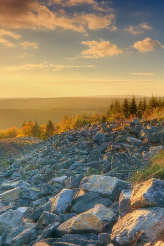лес, небо, камни, солнце
