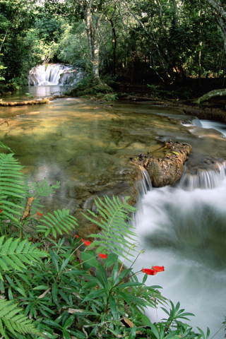 fonte de __guas e cascata, limestone springs and waterfalls, brasil, brazil, serra de bodoquena at mato grosso, serra de bodoquena no mato grosso