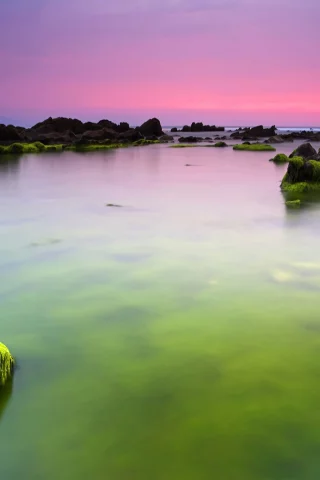 море, зеленые, вода, утро, океан, камни