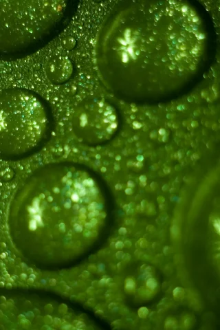 drops, green, water, обои