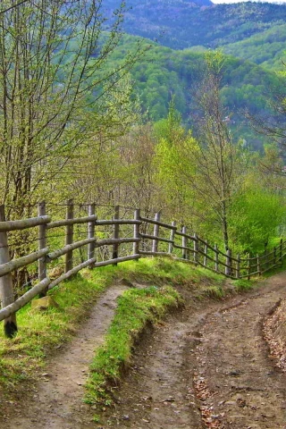 дорога, лето, забор