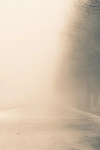 дымка, природа, деревья, снег, зима