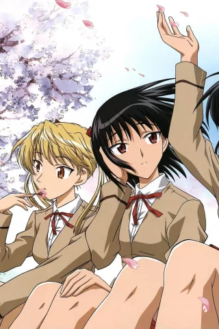 сакура, harima kenji, school rumble, школьницы, tsukamoto tenma, sawachika eri, девушки