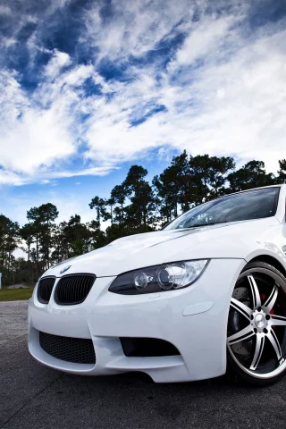 vossen, диски, деревья, bmw, небо
