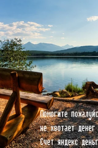 озеро, лес, скамейка