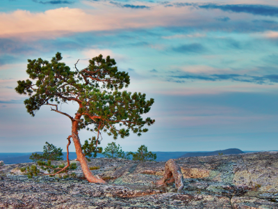 пейзаж, rocks, tree, камни, sky, небо, nature, природа, landscape, дерево, clouds, 2560x1600, облака