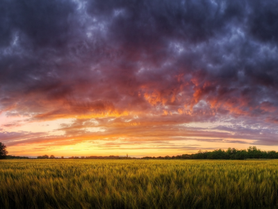 пейзажи, landscape, поле, трава, природа, nature, закат, sky, облака