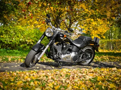 special, harley-davidson, fat boy