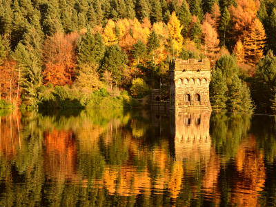 отражение, вода, крепость, осень, лес, река, пристань, озеро