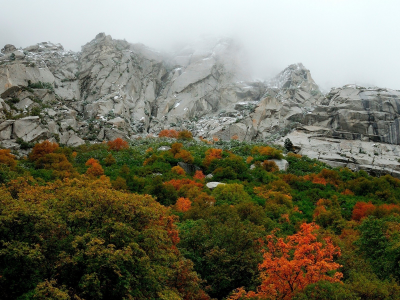 туман, горы, гора, пейзаж, скалы, лес, камни, листья, осень, деревья