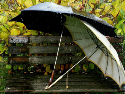 скамейка, зонт, вода, листя, дождь