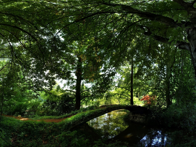 мост, вода, лавочка, зелень, деревья, отражение