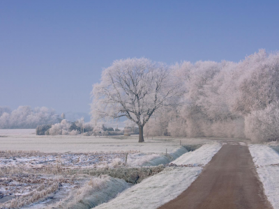 природа, деревья, пейзаж, дорога, wallpapers, снег, обои, зима