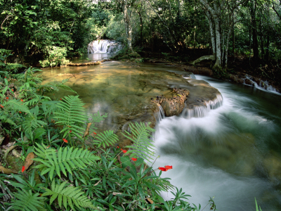 fonte de __guas e cascata, limestone springs and waterfalls, brasil, brazil, serra de bodoquena at mato grosso, serra de bodoquena no mato grosso