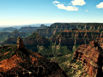 небо, деревья, trees, sky, пейзаж, большой каньон, 1920x1080, u.s.a., природа, arizona, landscape, grand canyon, nature