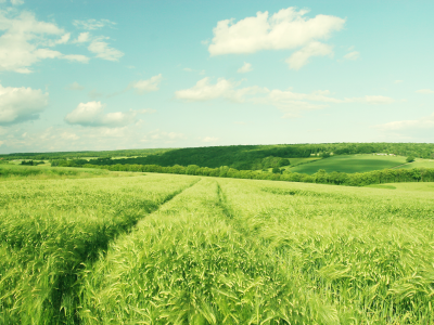 hill, sky, поле, деревья, пейзаж, landscape, clouds, небо, облака, зелень, nature, природа, 2560x1600, trees, greenery