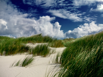 трава, облака, дюна, песок