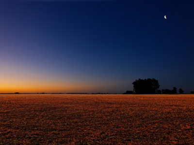луна, небо, закат, вечер, поле
