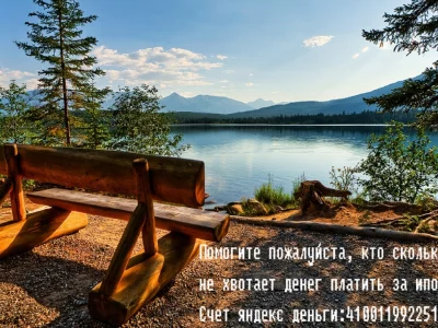 озеро, лес, скамейка