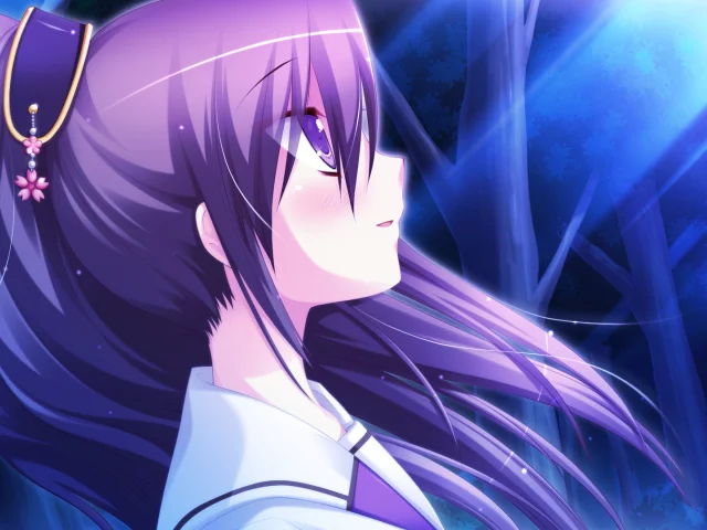 hyper highspeed genius, глаза, волосы, лес, tojoin kyoka, фиолетовые, девушка, луч