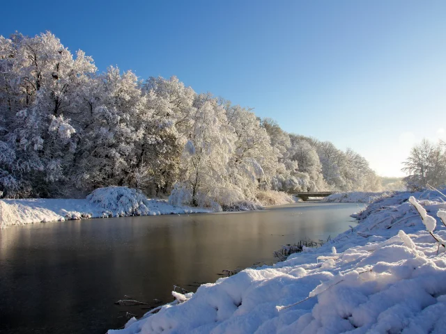 река, снег, деревья