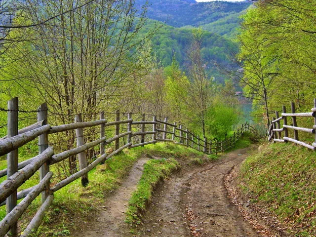 дорога, лето, забор