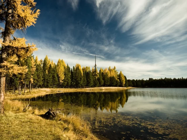 пейзаж, озеро, небо, деревья
