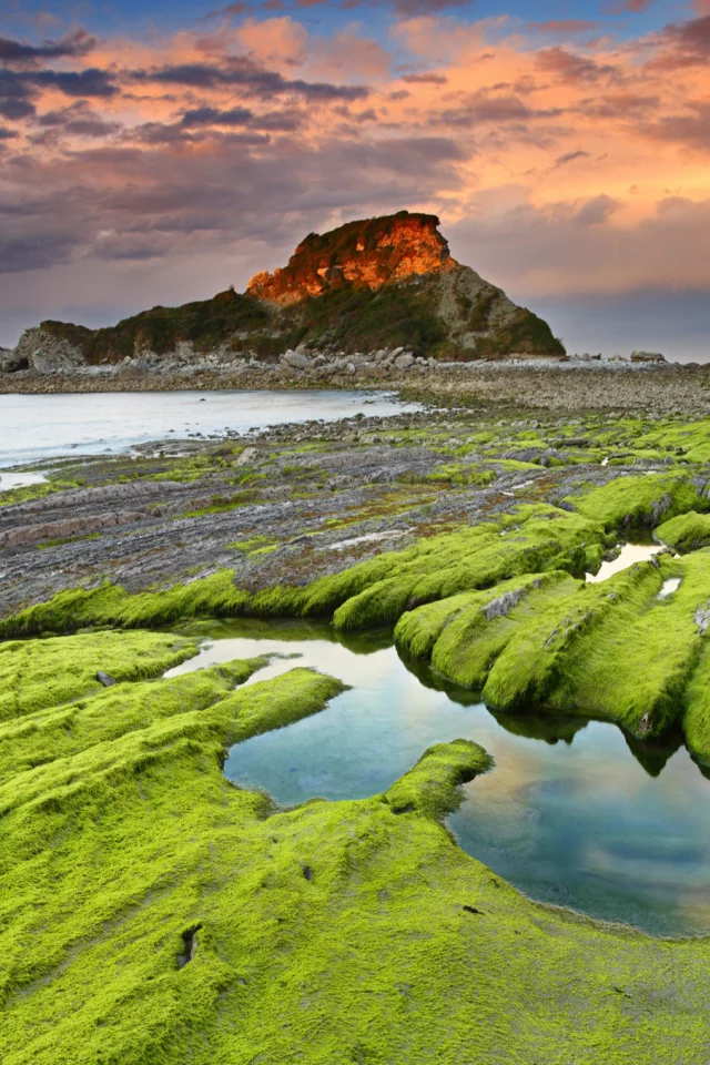 камни, водоросли, скалы, море, небо