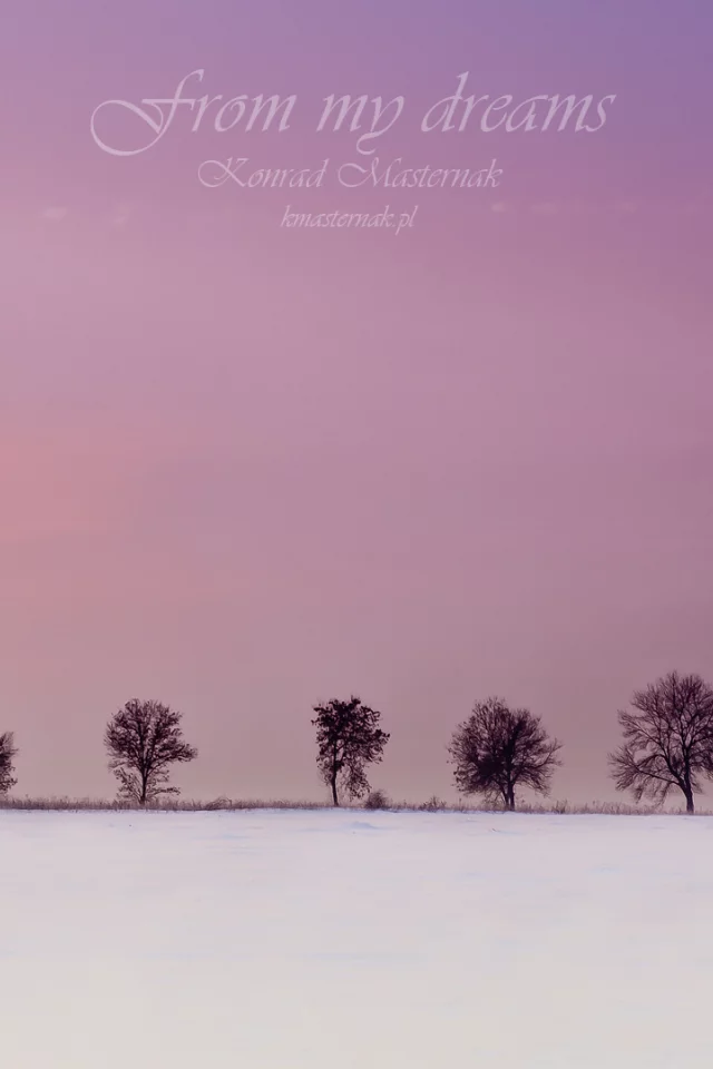 from my dreams, деревья, зима