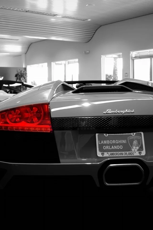 auto, lamborghini, автосолон, orlando