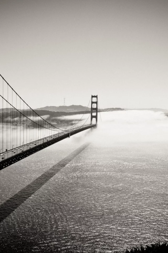 golden gate bridge, калифорния, into the fog, мост, чб