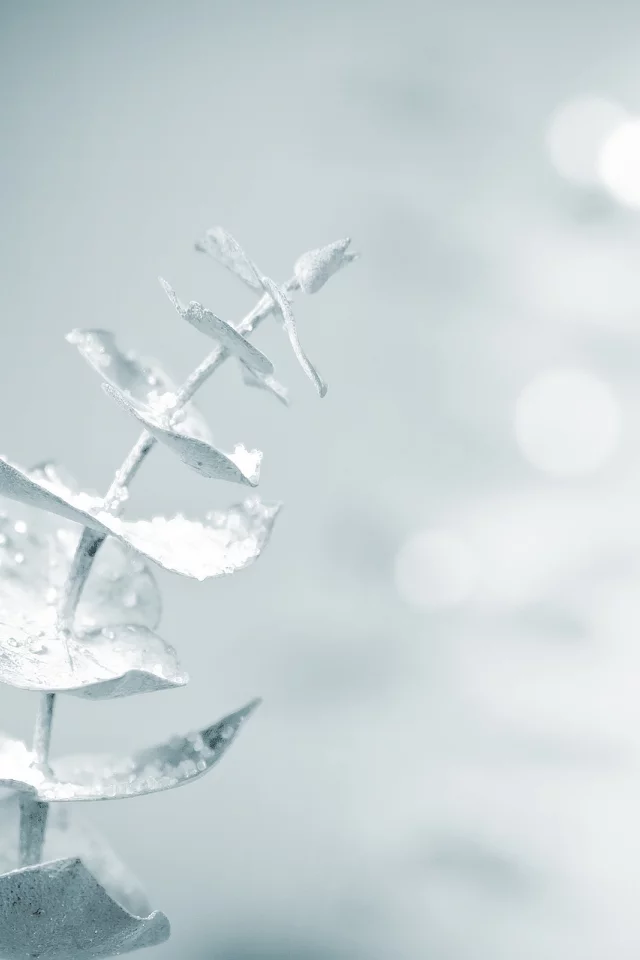 magic touch, snow, soft
