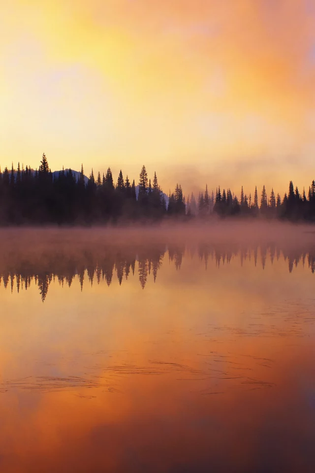 лес, природа, закат, озеро, пейзаж