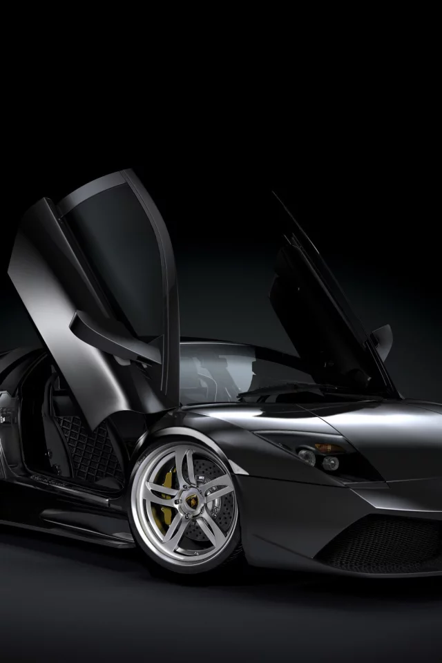 двери, вверх, murcielago