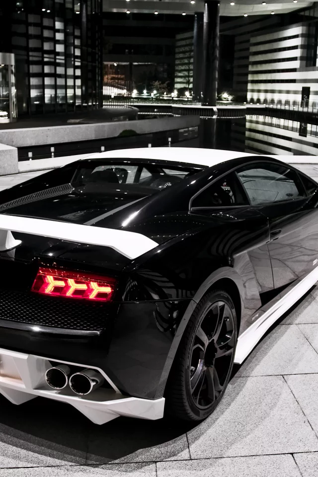 bf, bw, performance, lamborghini, задняя часть, правый бок, gallardo, gt600
