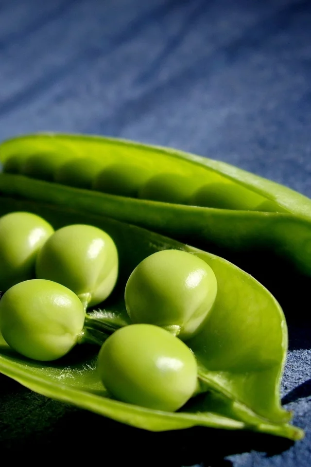 горох, макро, зеленый, горошек, peas, macro
